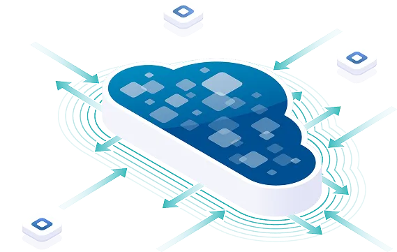 62% of organizations